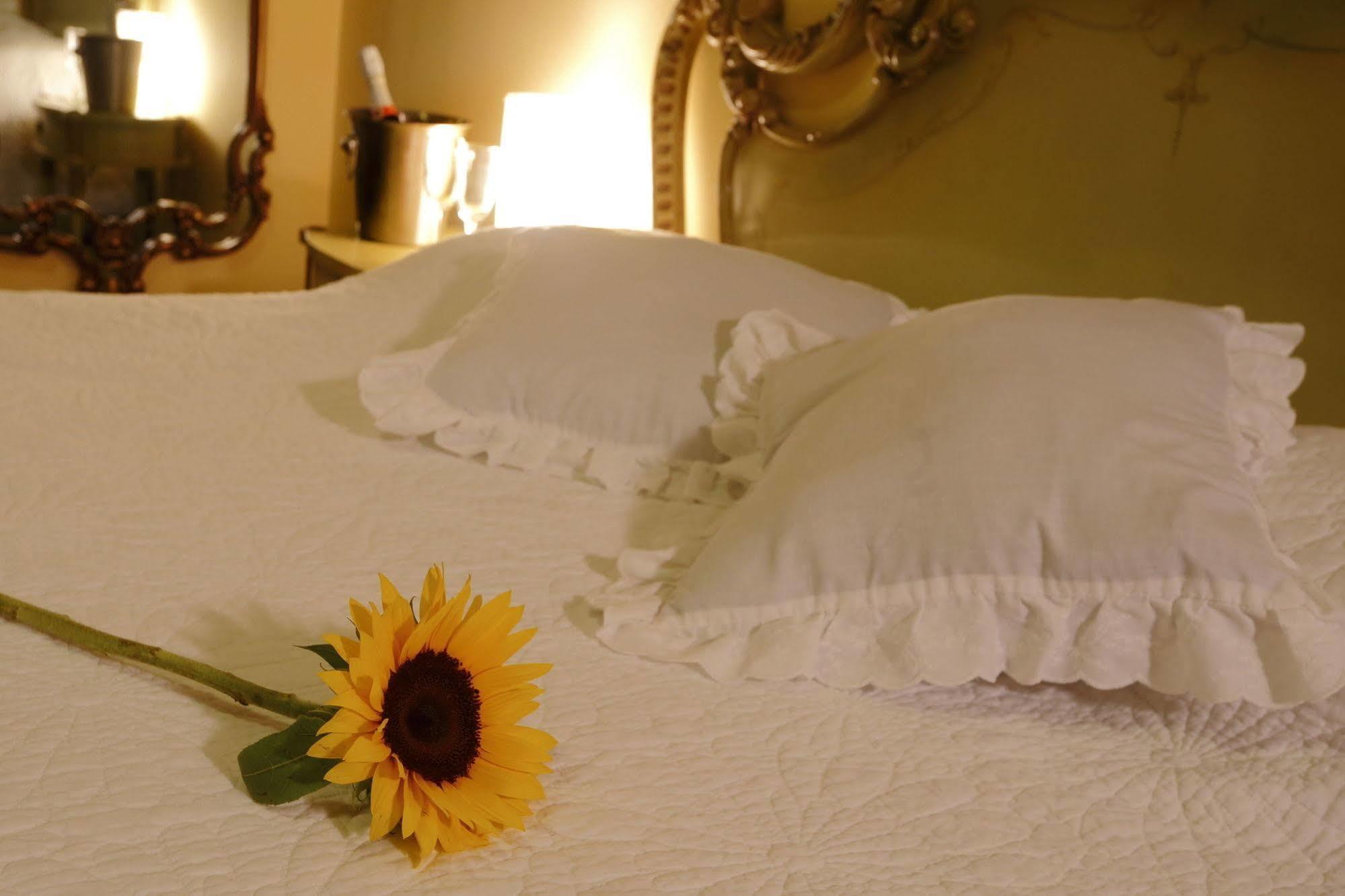 Bed & Breakfast - La Casa De Ceci 利马 外观 照片